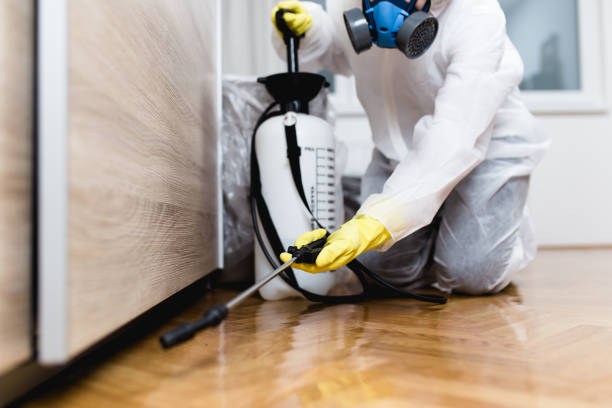Best Commercial Pest Control Services  in East Mckeesport, PA