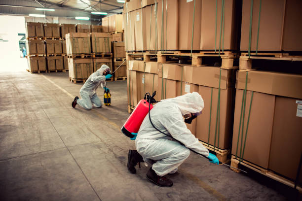 Reliable East Mckeesport, PA Pest Control Solutions