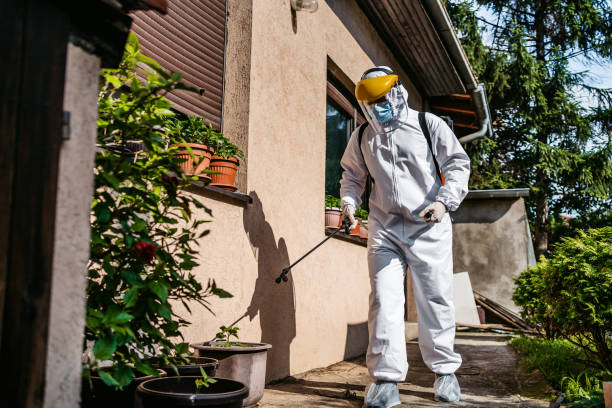 Professional Pest Control in East Mckeesport, PA