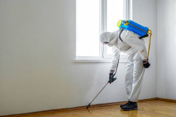 Best Mosquito Control Services  in East Mckeesport, PA