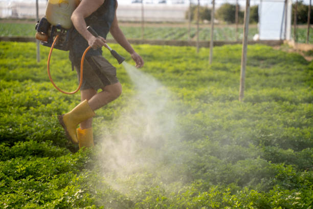 Best Best Pest Control Companies  in East Mckeesport, PA