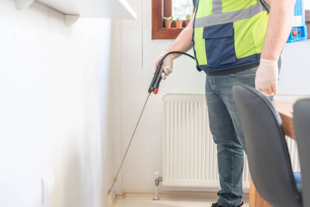 Best Termite Control Services  in East Mckeesport, PA
