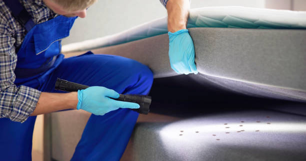 Best Pest Prevention Services  in East Mckeesport, PA